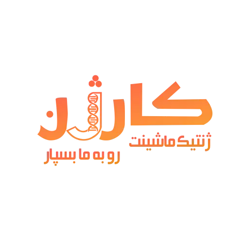 کارژن یدکی چینی